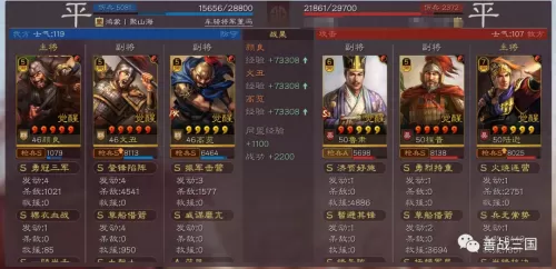 龙虎上将阵容怎么搭配最好　三国志战略版五虎上将-第30张