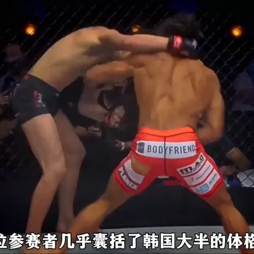 闯关达人最佳搭配阵容推荐　好玩的联机闯关游戏-第1张
