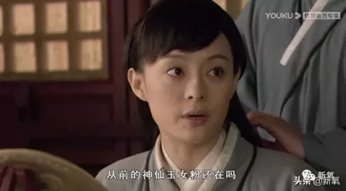 盛世芳华潘安阵容水系搭配　盛世芳华讲的什么-第2张