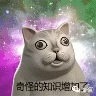 盛世芳华潘安阵容水系搭配　盛世芳华讲的什么-第8张