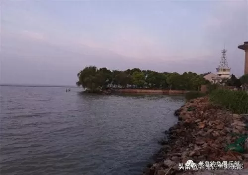 野战之王搭配阵容推荐最新　新版本最强阵容-第1张