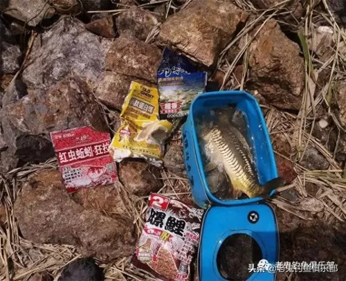 野战之王搭配阵容推荐最新　新版本最强阵容-第9张