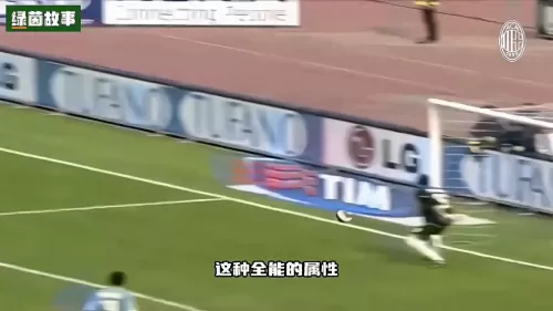 足球重炮阵容搭配图片大全　足坛重炮-第4张