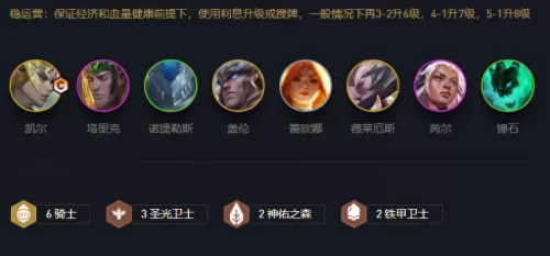 黎明骑士阵容搭配图片高清　骑士阵容-第1张