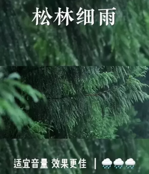 闪烁之光皮肤活动阵容搭配　闪烁之光最新阵容推荐-第13张