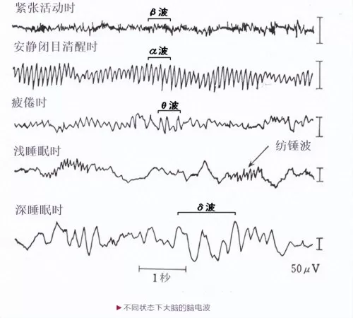 闪烁之光皮肤活动阵容搭配　闪烁之光最新阵容推荐-第11张