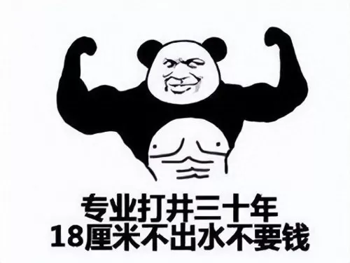 闪烁之光最新五系阵容搭配　闪烁之光顶级阵容-第3张