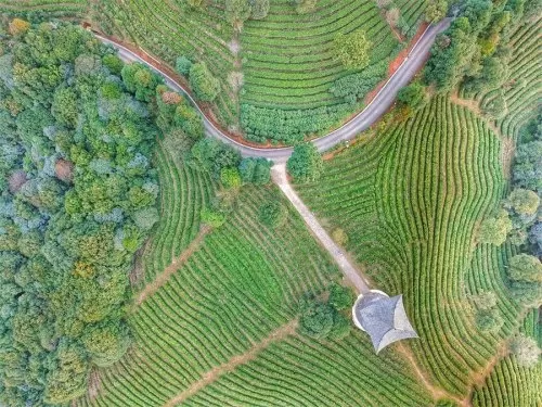 王者荣耀石林阵容搭配最新　王者荣耀最厉害的阵容-第1张