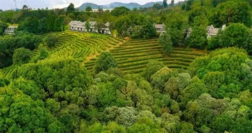 王者荣耀石林阵容搭配最新　王者荣耀最厉害的阵容-第2张