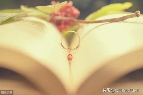 盛世芳华李白阵容搭配最新　李白开元盛世的诗-第2张