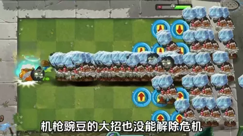 王者荣耀辣椒投手阵容搭配　辣椒投手是王牌植物吗-第4张