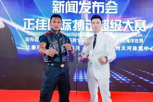王者荣耀泰拳新星阵容搭配　王者荣耀新星元皮肤-第1张