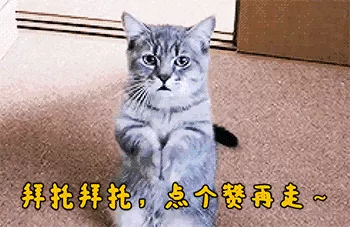 红龙异端阵容搭配推荐最新　万代红龙异端评测-第17张