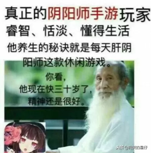 阴阳师奇葩黑科技阵容搭配　阴阳师奇葩阵容-第1张