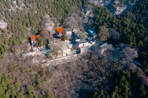 神仙道观推荐阵容搭配最新　神仙道阵容搭配-第1张