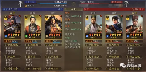 郝昭刘备阵容搭配最新攻略　三国志战略版刘备张角郝昭-第16张