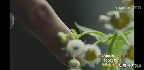 蚂蚁觉醒阵容搭配图鉴最新　觉醒者-第6张