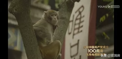 蚂蚁觉醒阵容搭配图鉴最新　觉醒者-第12张