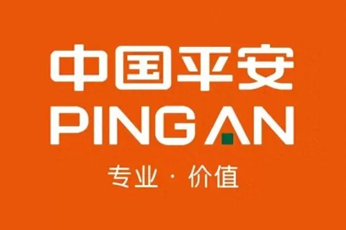 豪华露营阵容搭配推荐最新　露营-第7张
