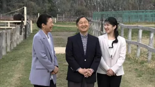 皇室战争最强公主阵容搭配　皇室战争公主-第6张