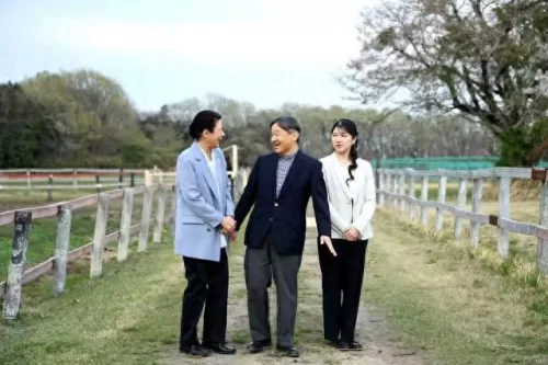 皇室战争最强公主阵容搭配　皇室战争公主-第7张
