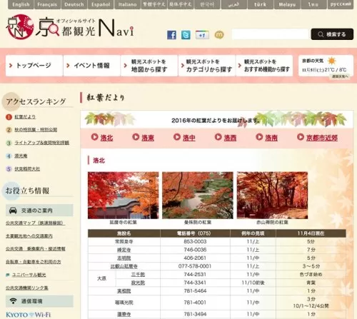 红叶狩猎阵容搭配推荐最新　红叶相思阵容-第6张