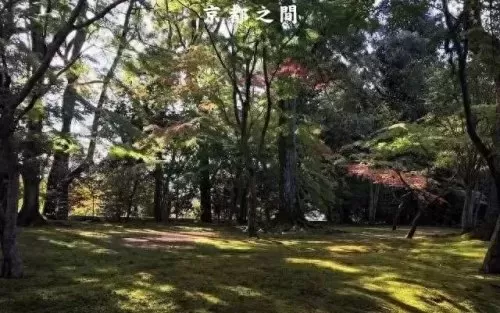 红叶狩猎阵容搭配推荐最新　红叶相思阵容-第10张
