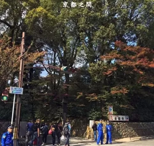 红叶狩猎阵容搭配推荐最新　红叶相思阵容-第11张