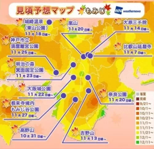 红叶狩猎阵容搭配推荐最新　红叶相思阵容-第12张