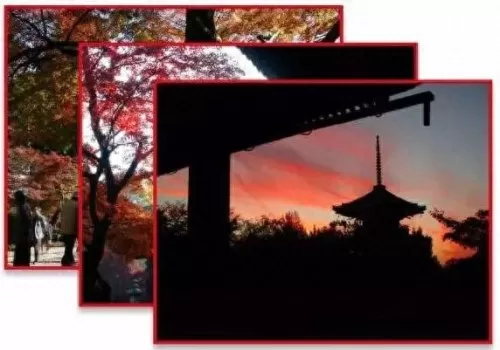 红叶狩猎阵容搭配推荐最新　红叶相思阵容-第16张