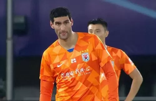 鲁能传奇最强阵容搭配攻略　山东鲁能历年阵容-第6张
