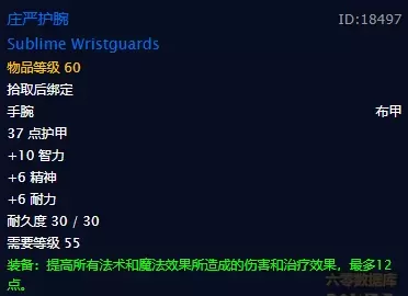 黑龙法师阵容装备搭配图片　魔兽60法师装备攻略-第4张