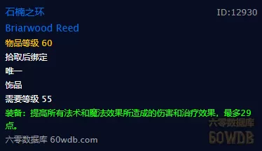 黑龙法师阵容装备搭配图片　魔兽60法师装备攻略-第7张