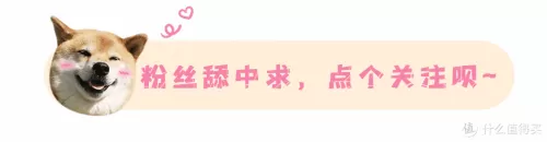 闪烁之光前期爬塔阵容搭配　闪烁之光最新阵容推荐-第38张