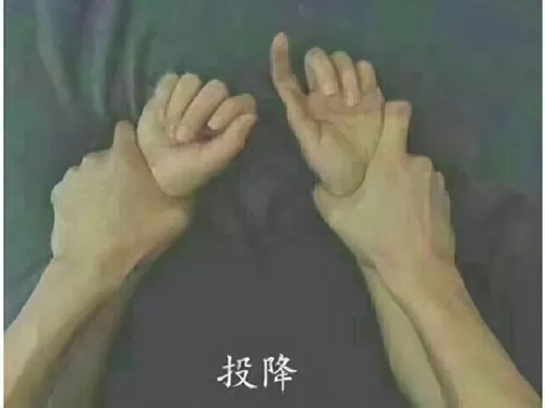 魔道军团搭配什么阵容最好　魔界战记阵容搭配-第11张