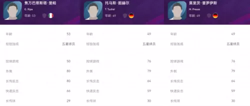 王者赛事教练阵容搭配推荐　教练-第5张