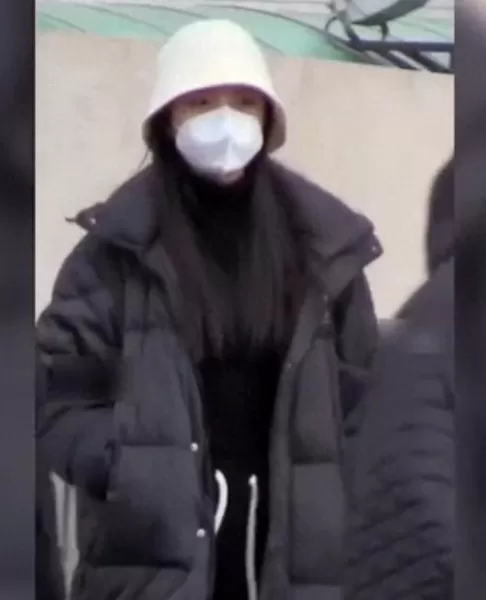 王者荣耀春晚阵容搭配最新　王者荣耀春晚大合唱-第17张