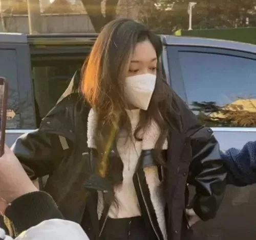 王者荣耀春晚阵容搭配最新　王者荣耀春晚大合唱-第27张