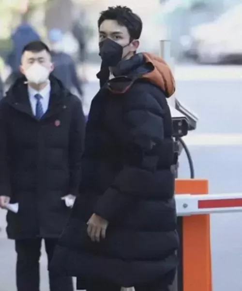王者荣耀春晚阵容搭配最新　王者荣耀春晚大合唱-第35张