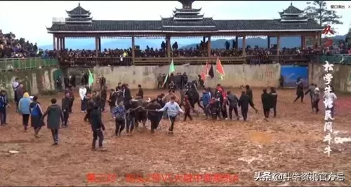 王者荣耀牛王阵容搭配最新　王者荣耀最厉害的阵容-第1张