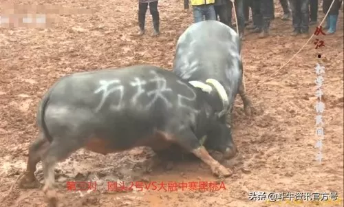 王者荣耀牛王阵容搭配最新　王者荣耀最厉害的阵容-第2张
