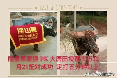 王者荣耀牛王阵容搭配最新　王者荣耀最厉害的阵容-第9张