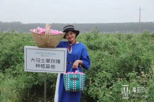 超能世界火羽凤凰搭配阵容　超能世界电魂龙裔搭配-第6张