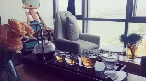 超能世界火羽凤凰搭配阵容　超能世界电魂龙裔搭配-第13张