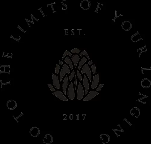 超能世界火羽凤凰搭配阵容　超能世界电魂龙裔搭配-第46张