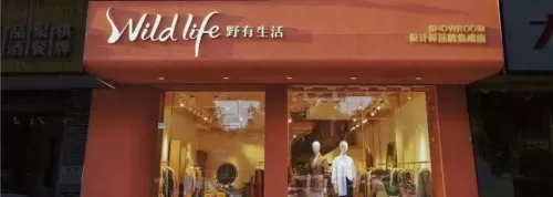 超能世界火羽凤凰搭配阵容　超能世界电魂龙裔搭配-第47张