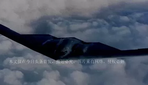 致命打击过关阵容搭配攻略　宝可梦剑一套通关阵容-第2张