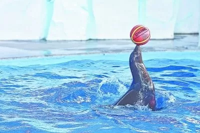 神奇水域阵容搭配图表最新　lol自走棋阵容搭配-第1张