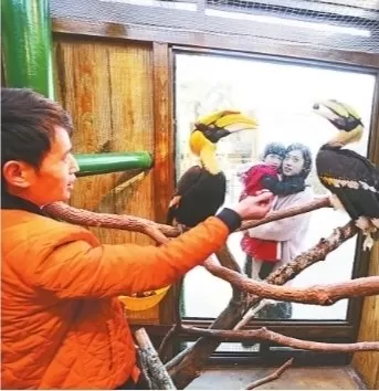 神奇水域阵容搭配图表最新　lol自走棋阵容搭配-第4张