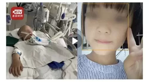 祭司魔魇结晶推荐阵容搭配　祭司的梦魇结晶-第1张